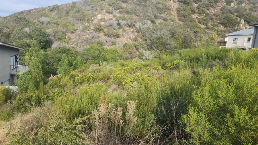 0 Bedroom Property for Sale in Island View Western Cape